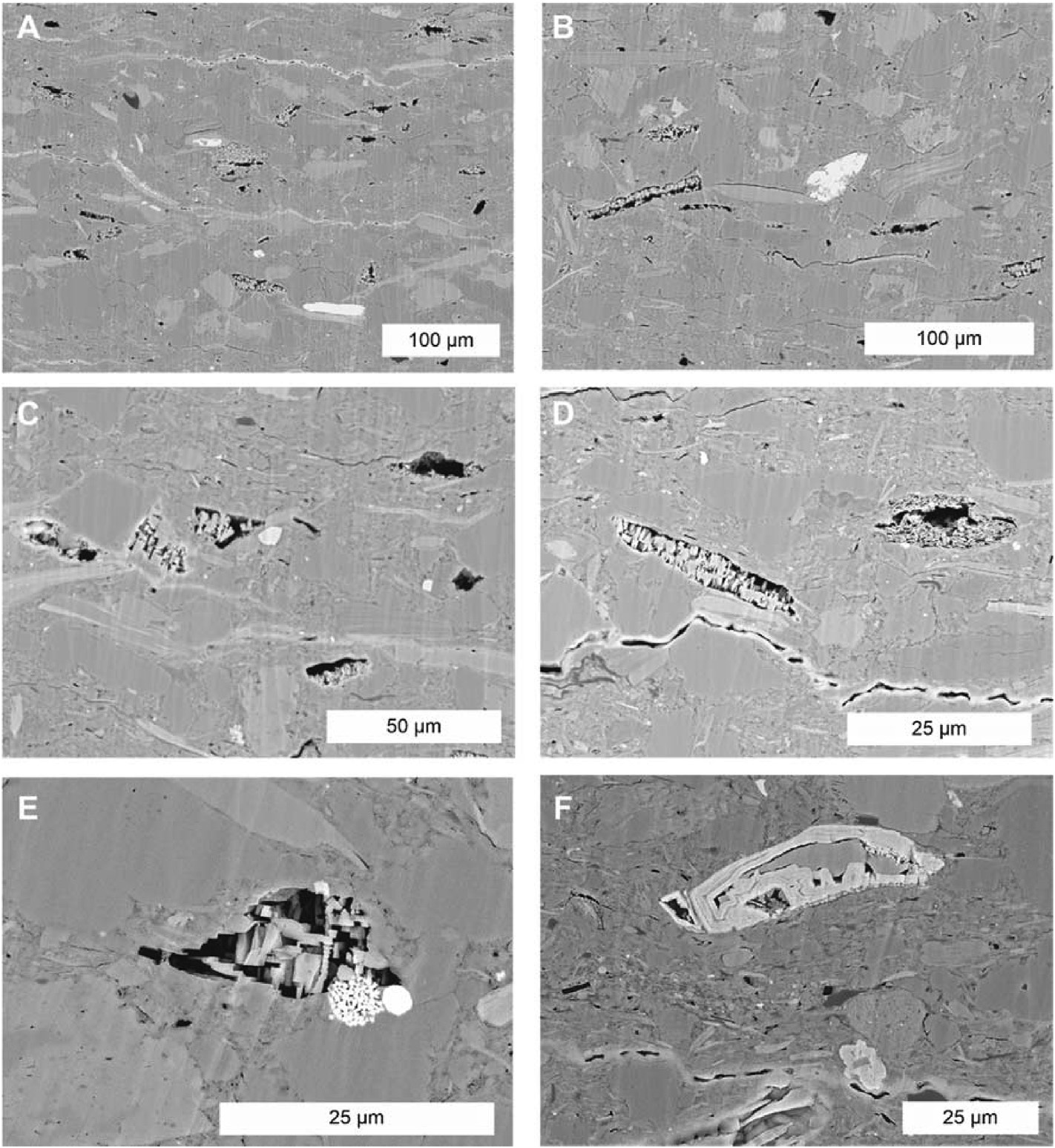 3667f40a709884917de002d7db292e5c