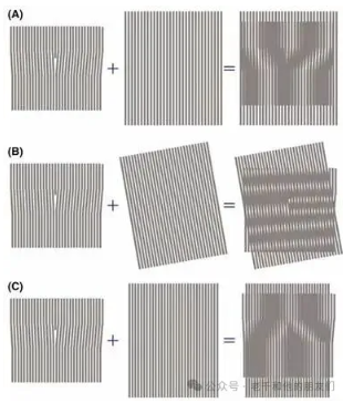 3c1bb4a3d973b3cd0bf594bc76f20fc5