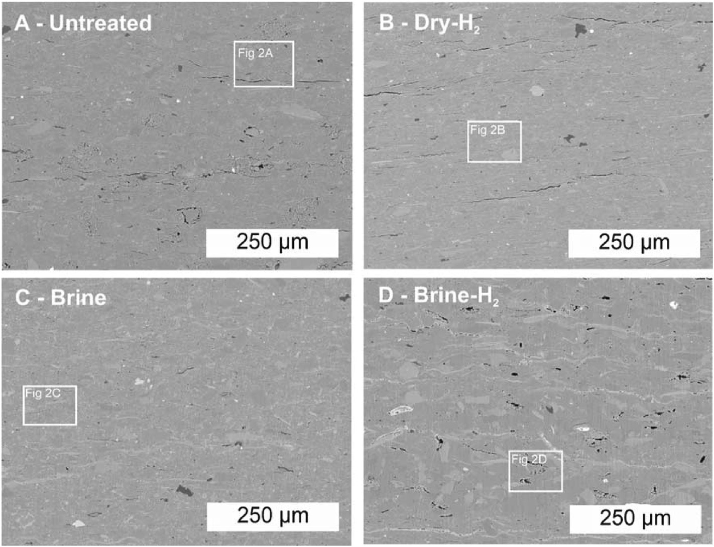 849369a21a54404d57131a42643399b3