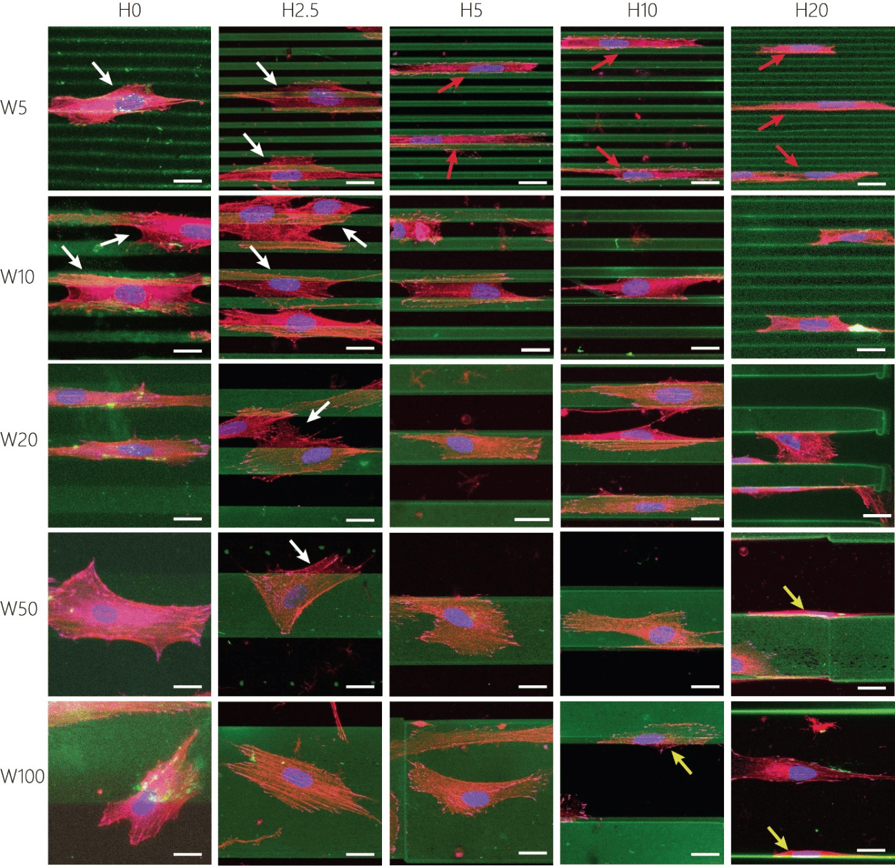 9e2d98c7415011b139f8b58bd46cb6a7