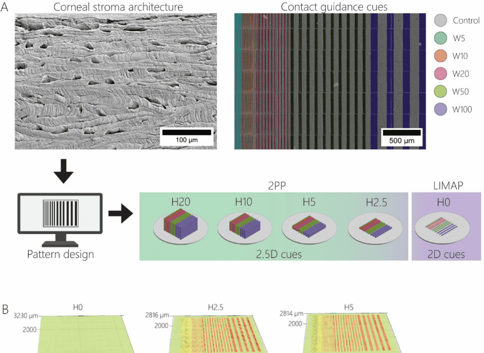 a5510d0c151c48bfe7c82c92ba975425