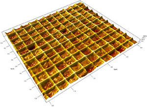 607-AFM-web-feature-1